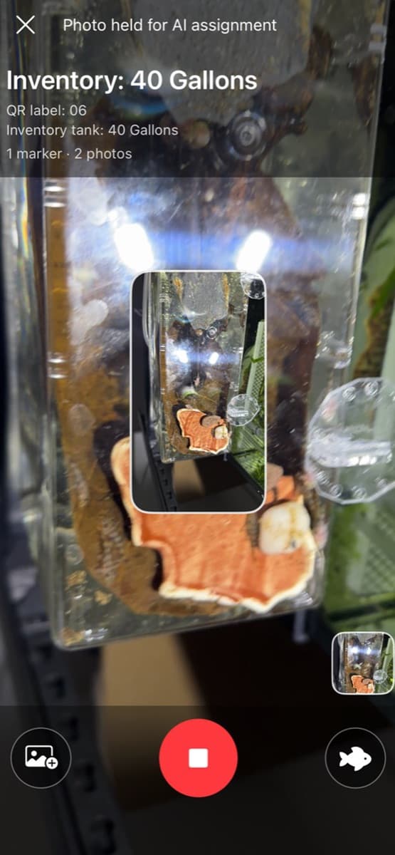 FPBreeder Vision camera recording with a QR-resolved tank context and photos held for AI assignment